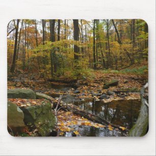Fall Creek mit Spiegelung im Laurel Hill Park Mousepad