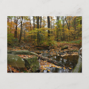 Fall Creek mit Spiegelung im Laurel Hill Park Postkarte