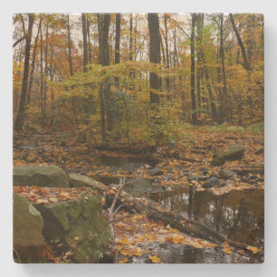 Fall Creek mit Spiegelung im Laurel Hill Park Steinuntersetzer