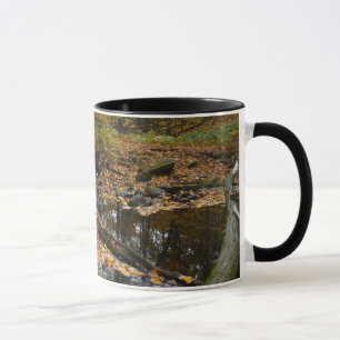 Fall Creek mit Spiegelung im Laurel Hill Park Tasse