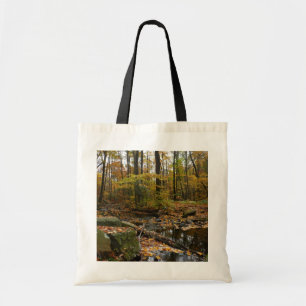 Fall Creek mit Spiegelung im Laurel Hill Park Tragetasche