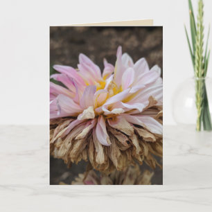 Fall Dahlia Blank Grußkarte Karte