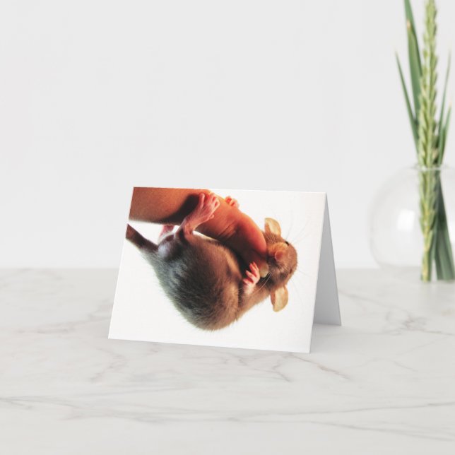 Fall dort in der Ratte Karte (Vorderseite)