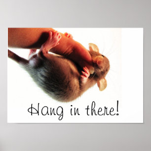 Fall dort in der Ratte Poster