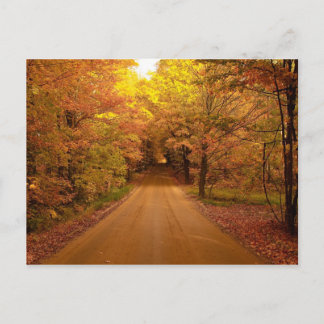 Fall Drive Color Tour Postkarte