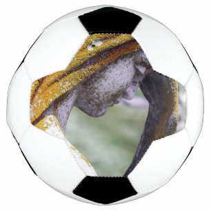 Fall einer ruhigen Zwischenlösung Fußball