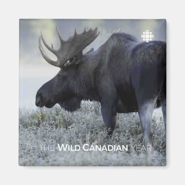 Fall - Elch Magnet (Vorne)