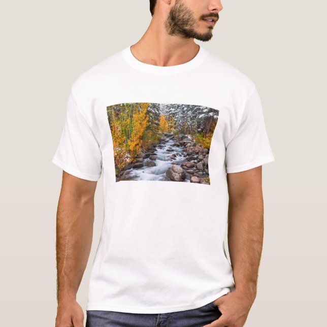 Fall entlang Bischofsgracht, Kalifornien T-Shirt (Vorderseite)