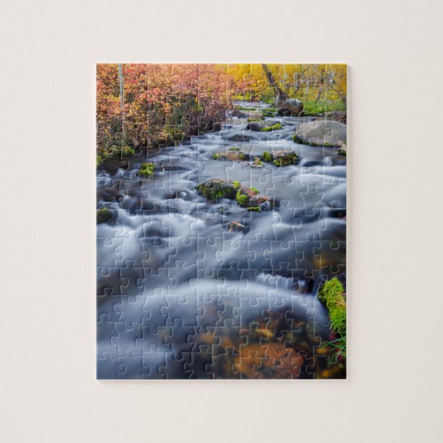 Fall entlang Lundy Creek, Kalifornien Puzzle (Vertikal)