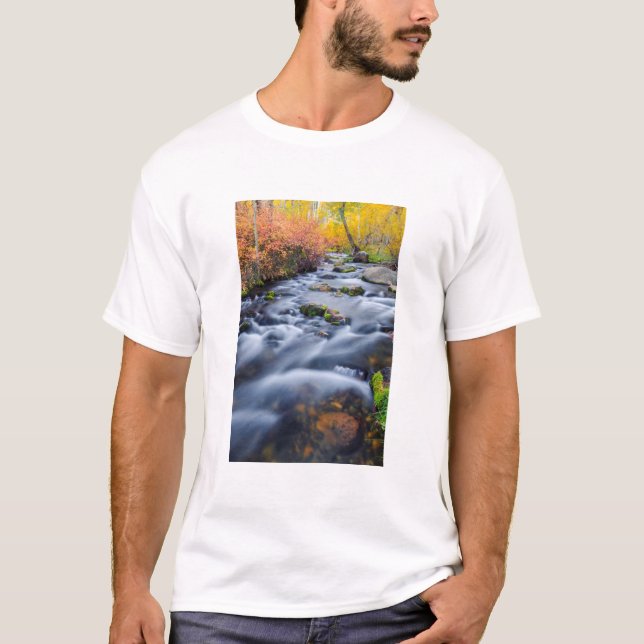 Fall entlang Lundy Creek, Kalifornien T-Shirt (Vorderseite)