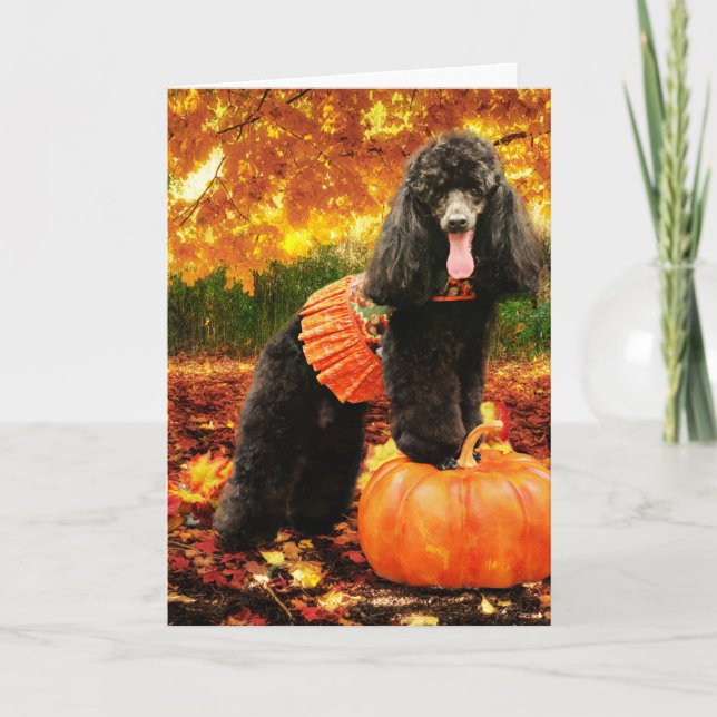 Fall Erntedank - Gidget - Poodle Feiertagskarte (Vorderseite)