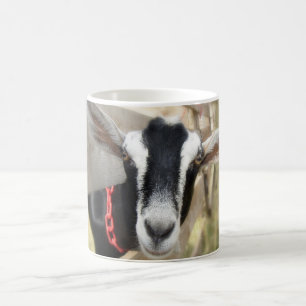 Fall Fair Billy Goat Kaffeetasse