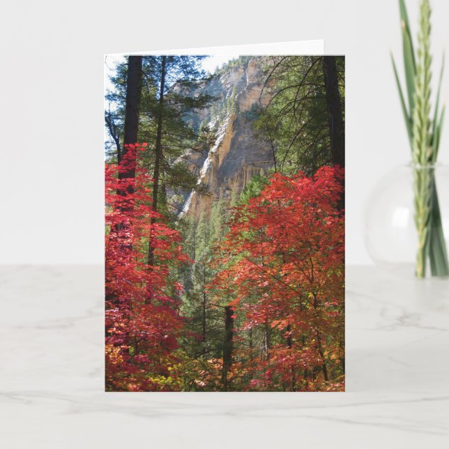 Fall Fantasy (14) Greeting Cards Karte (Vorderseite)