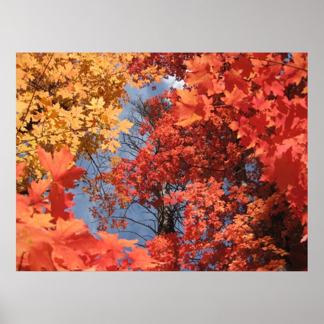 Fall Fantasy (2) Poster (Vorne)