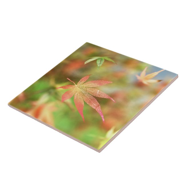 Fall Filigree Dekorative Tile / Trivet Fliese (Seite)