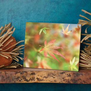 Fall Filigree Plaque Fotoplatte