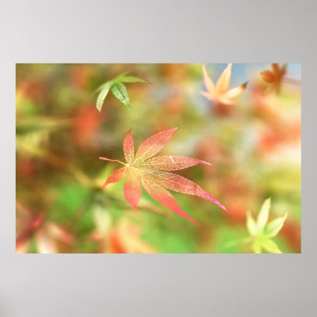 Fall Filigree Print Poster (Vorne)