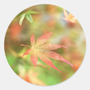 Fall Filigree Stickers