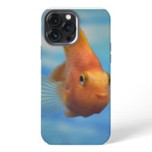 Fall Fish Case-Mate iPhone
