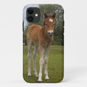 Fall Foal iPhone 5 Case-Mate iPhone Hülle