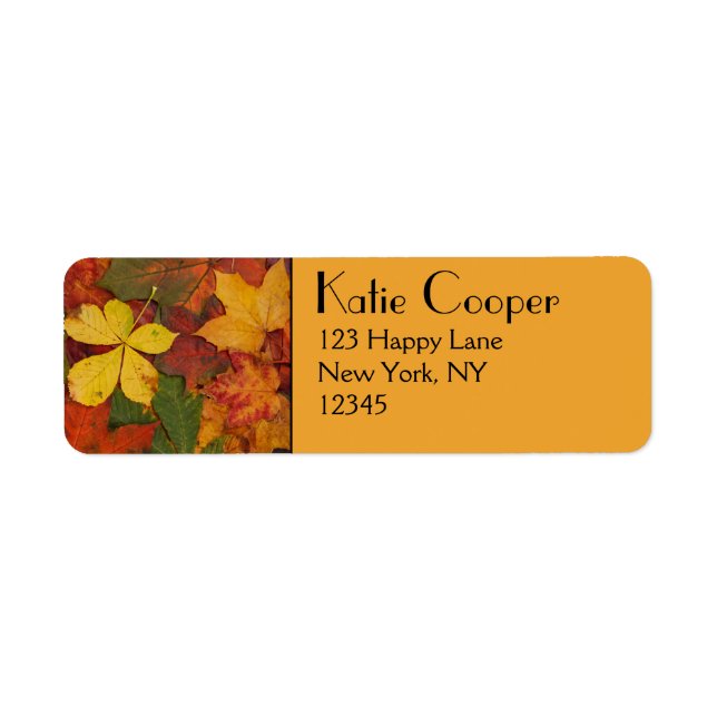 Fall Foliage (Vorne)