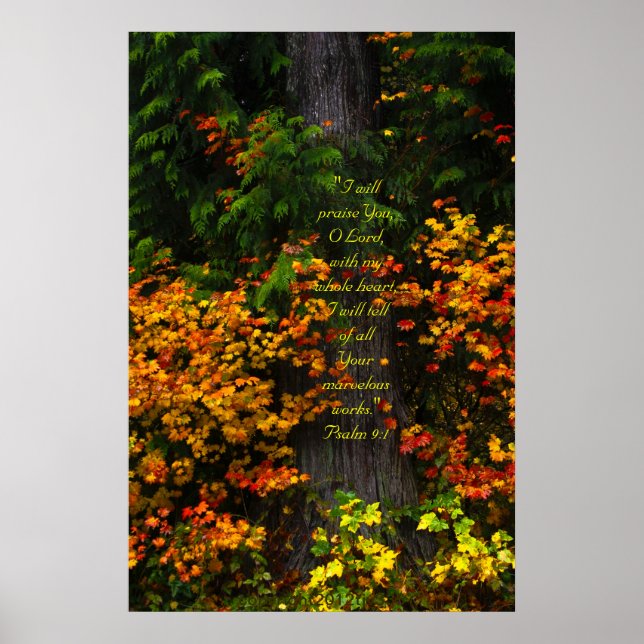 Fall Foliage 2 Druck mit Skriptersatz Poster (Vorne)