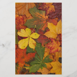 Fall-Foliage-Blätter in neutralen Farben Briefpapier