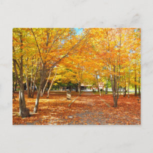Fall Foliage Canyon Sainte Anne Quebec Postcard Postkarte