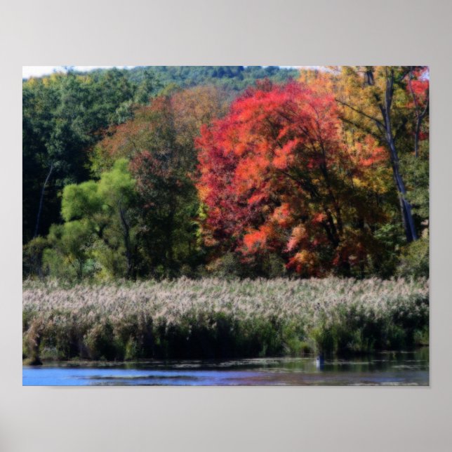 Fall Foliage, die einen Marsch Orton-Effekt grenzt Poster (Vorne)