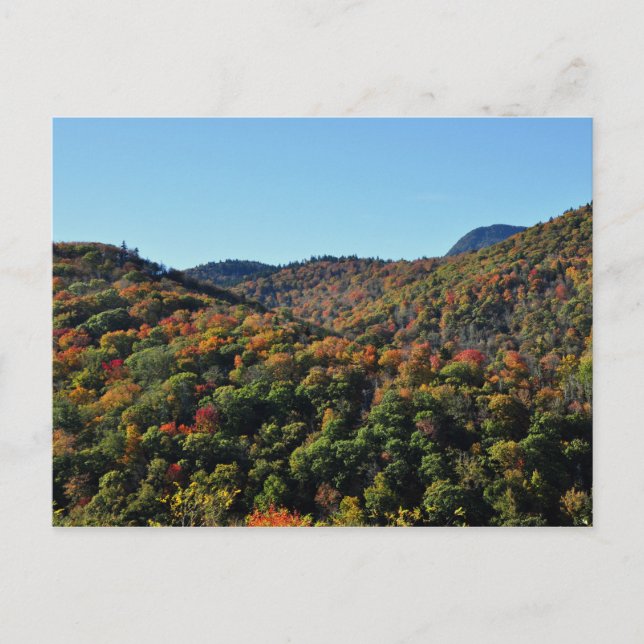 Fall Foliage entlang des Blue Ridge Parkway, NC Postkarte (Vorderseite)