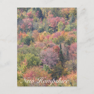 Fall Foliage, Franconia Notch Staat Park, NH Postkarte
