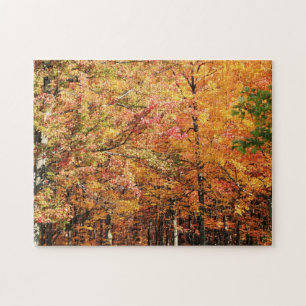 Fall Foliage in New England Puzzle