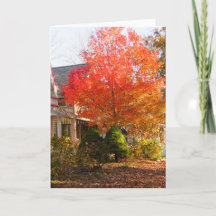 Fall Foliage in Oak Bluffs - Martha's Vineyard