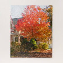 Fall Foliage in Oak Bluffs - Martha's Vineyard