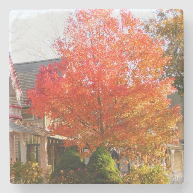 Fall Foliage in Oak Bluffs - Martha's Vineyard Steinuntersetzer (Vorderseite)