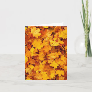 Fall Foliage Karte