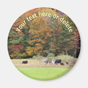 Fall Foliage Kühe Feldart Personalisiert Magnet