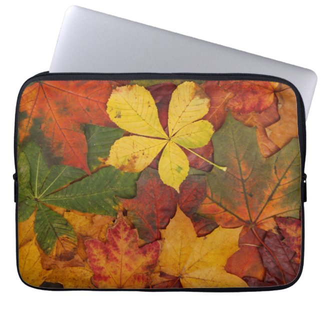 Fall Foliage Laptopschutzhülle (Vorderseite)