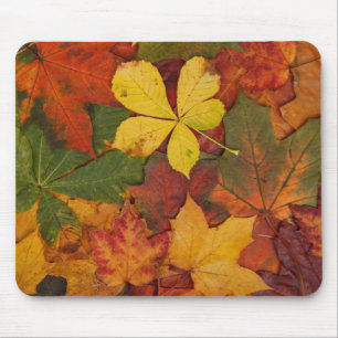 Fall Foliage Mousepad