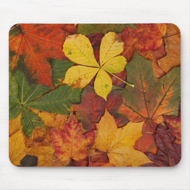 Fall Foliage Mousepad (Vorne)