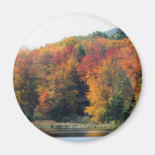 Fall Foliage Pond Nature Fotografy Magnet