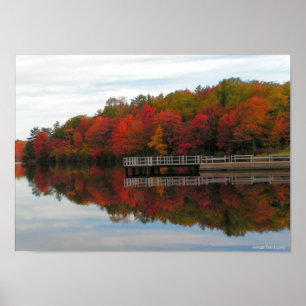 Fall Foliage Poster