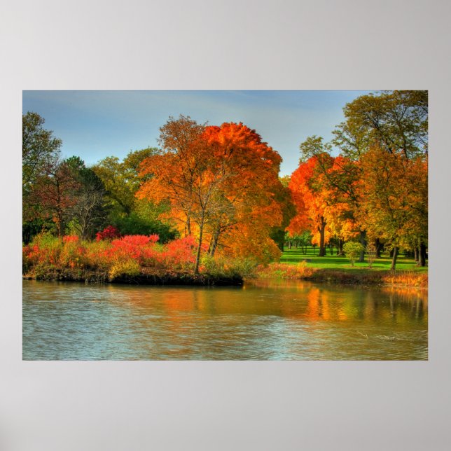 Fall Foliage Poster (Vorne)