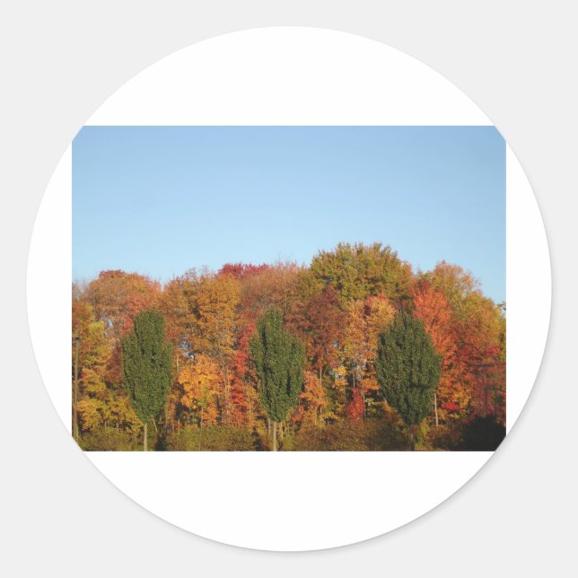Fall Foliage Runder Aufkleber (Vorderseite)