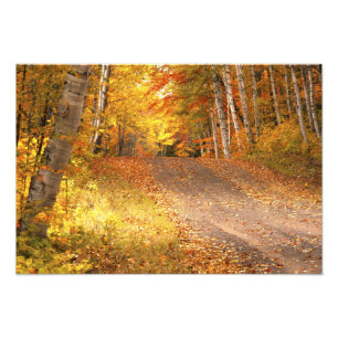 Fall Foliage Rural Road U.P. Michigan Fotografy Fotodruck