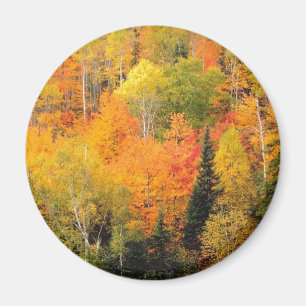 Fall Foliage Valley Magnet