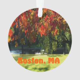 Fall Foliage von Boston Ornament
