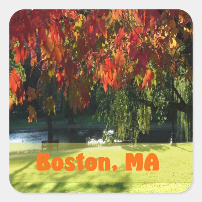 Fall Foliage von Boston Quadratischer Aufkleber (Vorderseite)