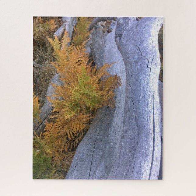Fall Forest Brackens Puzzle (Vertikal)
