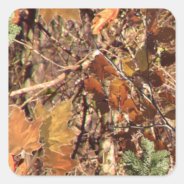 Fall Forest Bush Camouflage Quadratischer Aufkleber (Vorderseite)